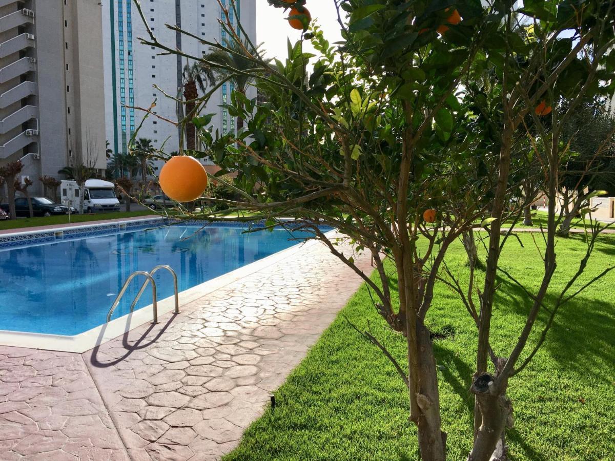 Hannibal La Cala Finestrat Appartement *